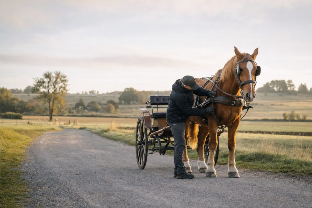 Conducteur vérifiant le harnais d’un cheval attelé à une voiture sur un chemin rural avant le départ.